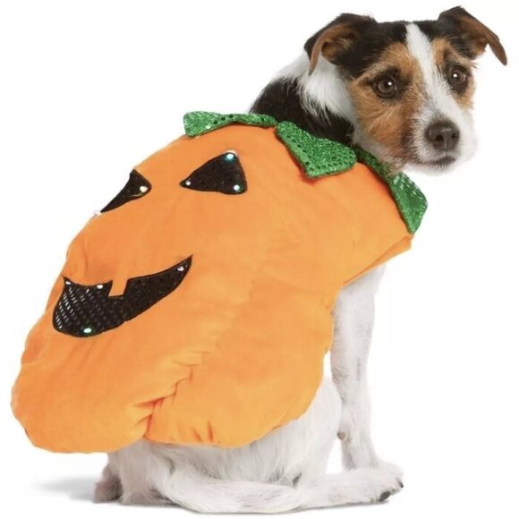 Thrills & Chills - Dog Pumpkin Halloween Costume - Size L - Picture 2 of 13